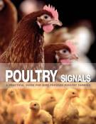 Poultry Signals - Chinese edition