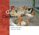 Gallinas-Chickens