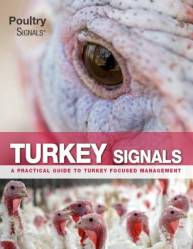 Kalkoen Signalen - Turkey Signals