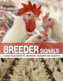 Breeder Signals
