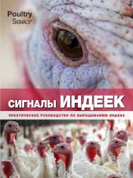 Kalkoen Signalen - Turkey Signals - Russische editie